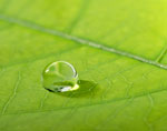 Environmentally Friendly