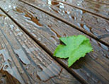 Timber Treatments Timber Treatments