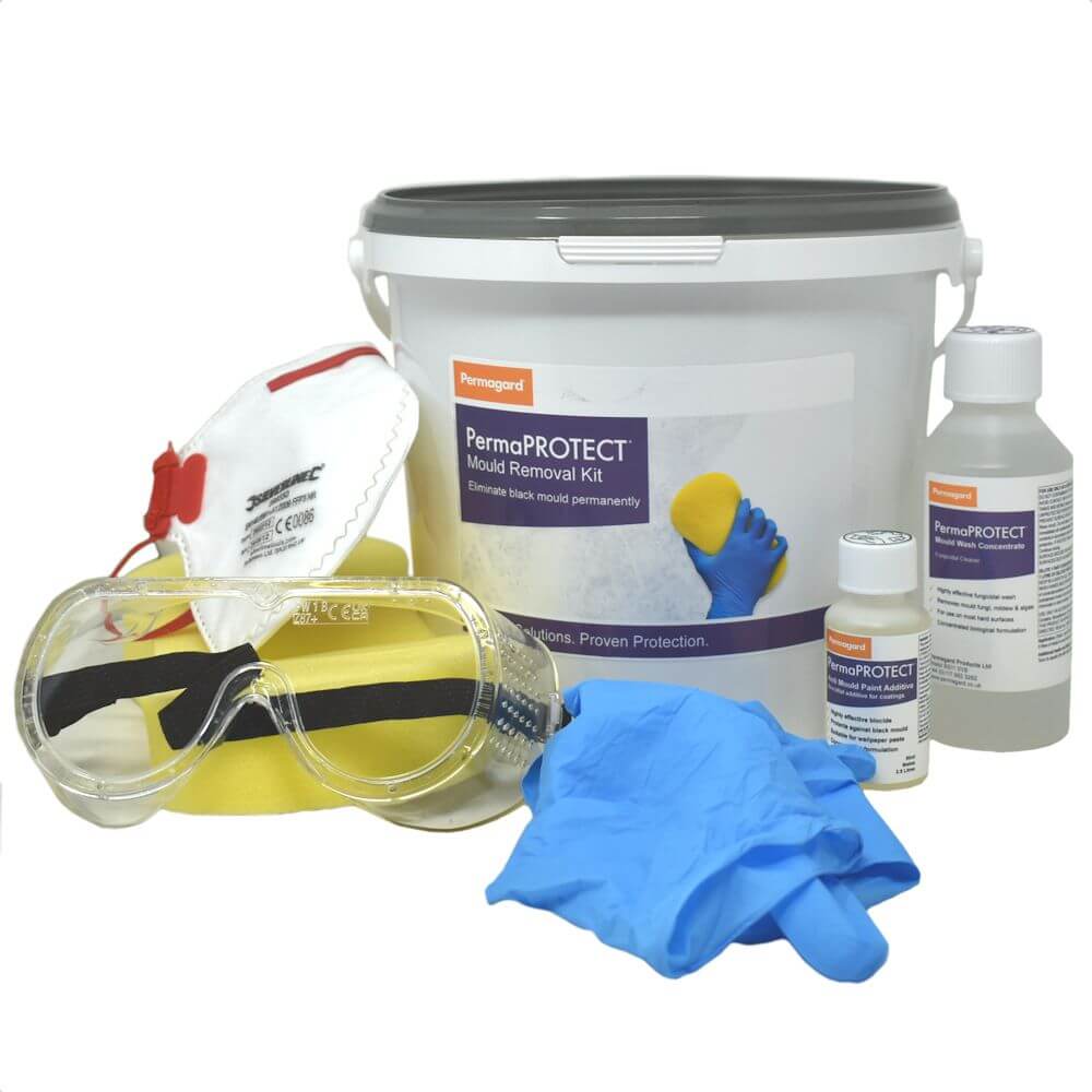 Mould removal kit