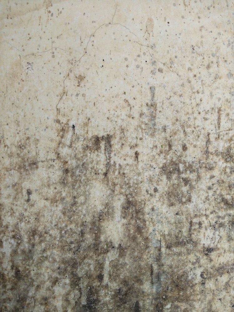 A wall affected by mould