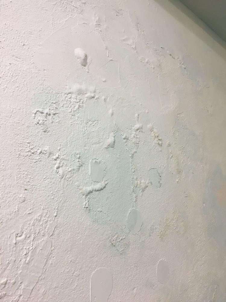 Hygroscopic salts on wall