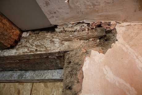 Treating Woodworm Getting Rid Of Wood Boring Insect