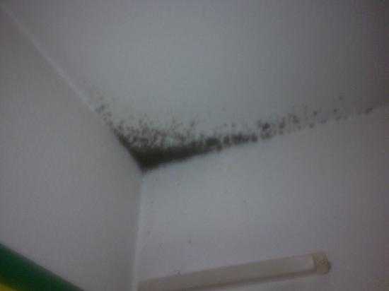 Does Damp Proof Paint Really Work Permagard