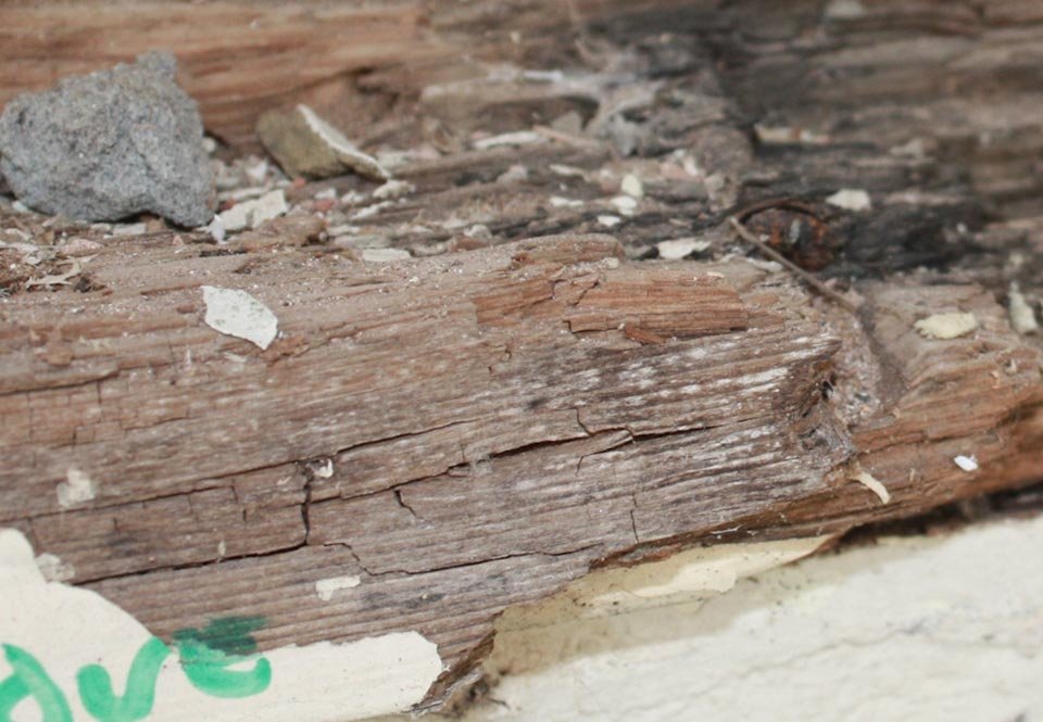 Treatment For Dry and Wet Rot Wood Rot Treatment