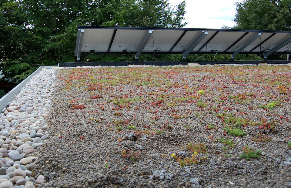 What Is A Green Roof? A Beginners Guide To Living Roofs
