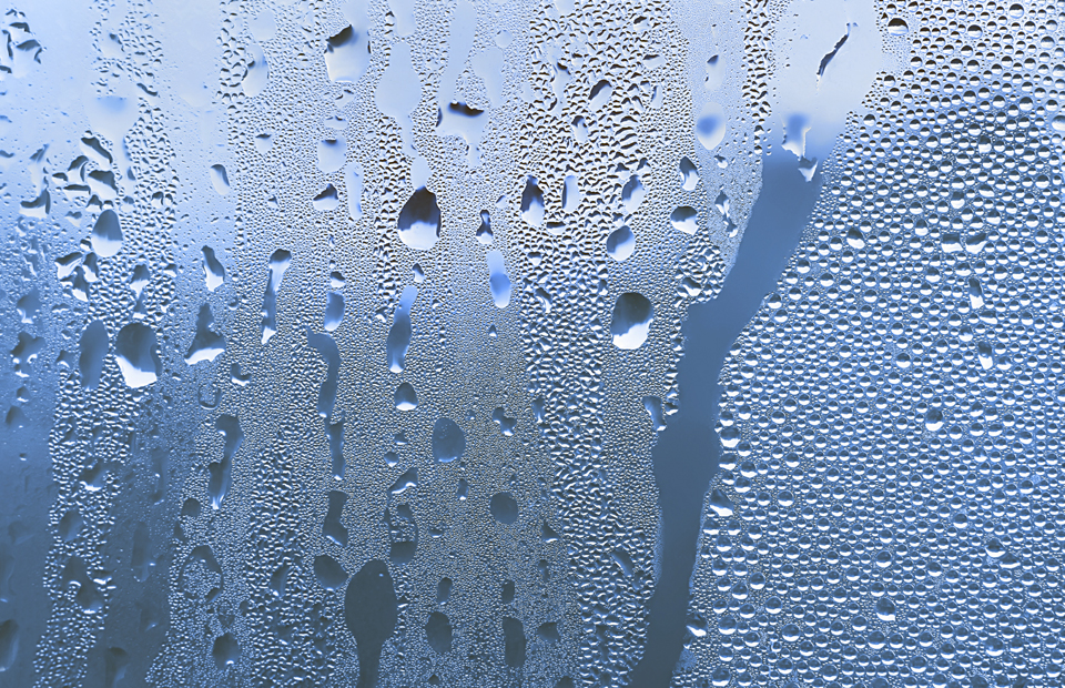 How to Stop Condensation Guide