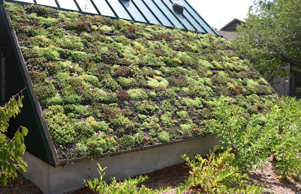Green Roof Construction - How To Make A Green Roof