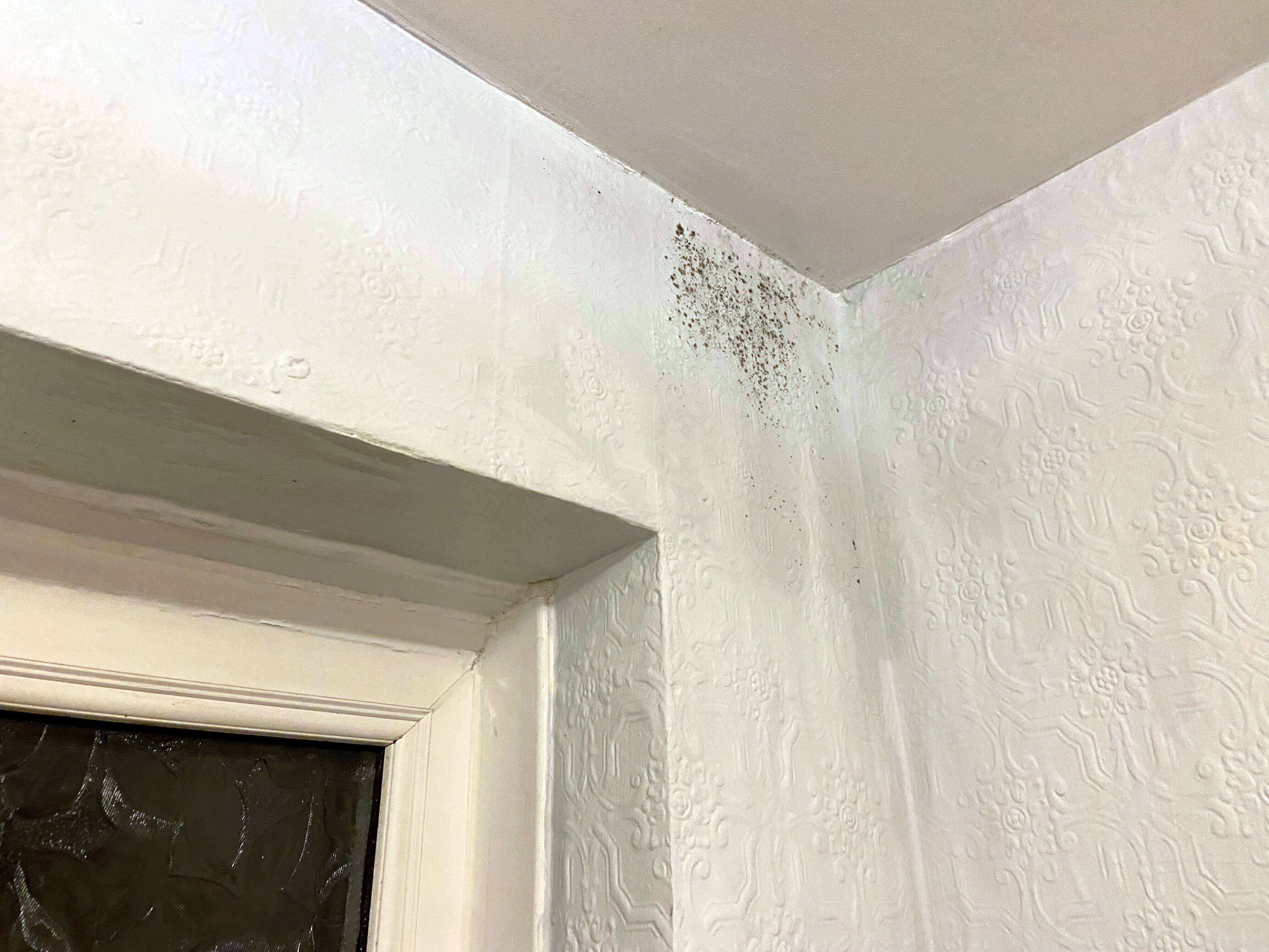 Dampness on ceiling