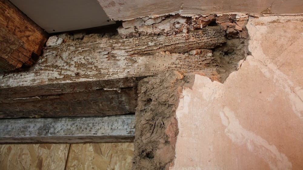 Domestic Damp Proofing & Timber Restoration | Case Study