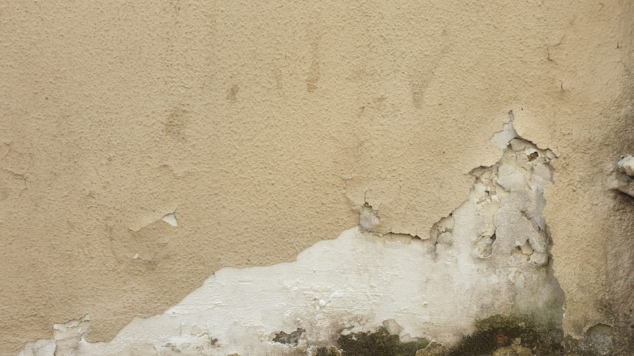 A wall affected by mould