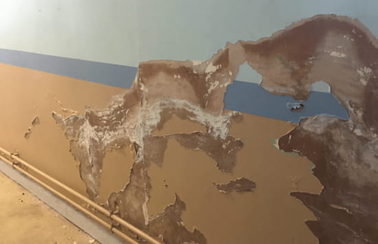 Read More About Causes of Damp in Houses 