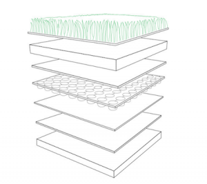 Read More About Green Roof Construction – How to Guide