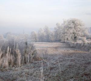 Read More About How to Ensure your House Stays Dry this Winter