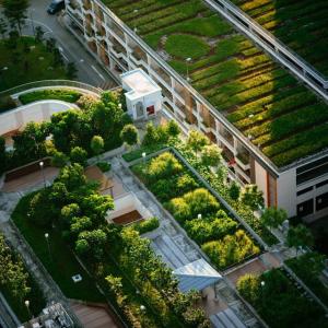 several large green roofs in a city