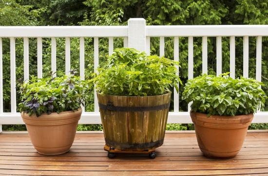 Read More About Timber Treatments To Refresh Your Garden In Time For Summer