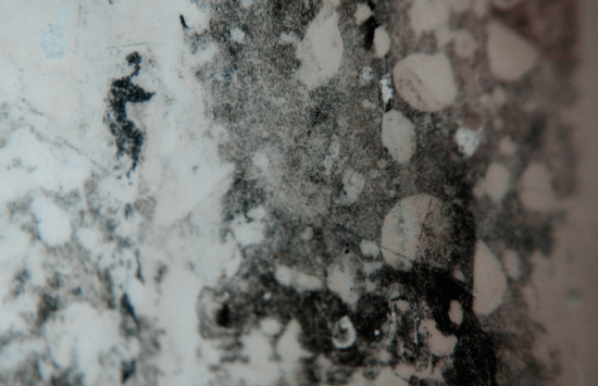 Read More About How To Remove Mould From Walls