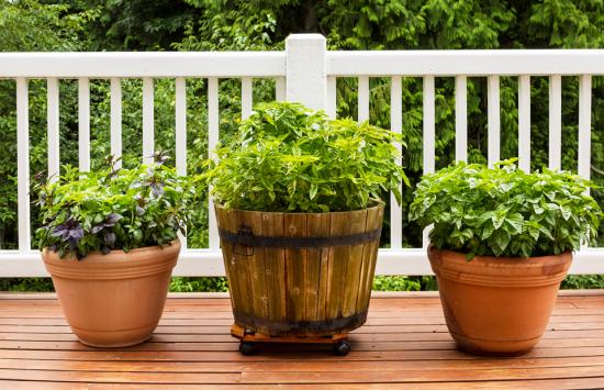 Read More About Infographic - How to Get your Home Ready For Spring