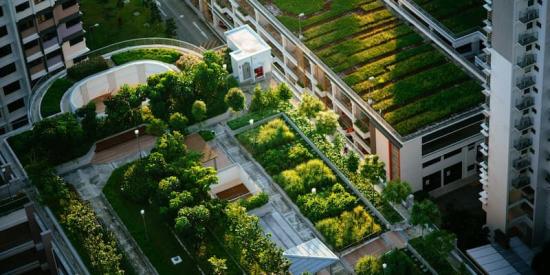 several large green roofs in a city