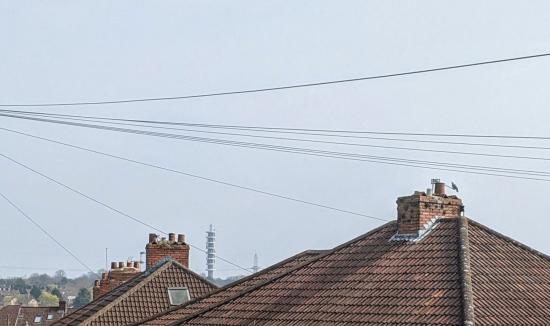 chimney with algae and sky line