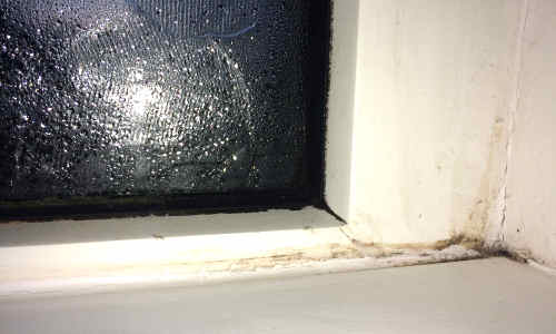 condensation on window sill