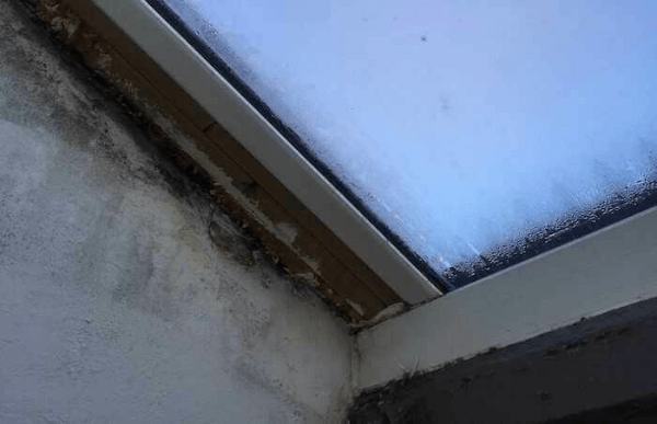 Damp caused by condensation on window