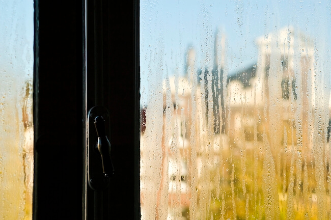 condensation on window