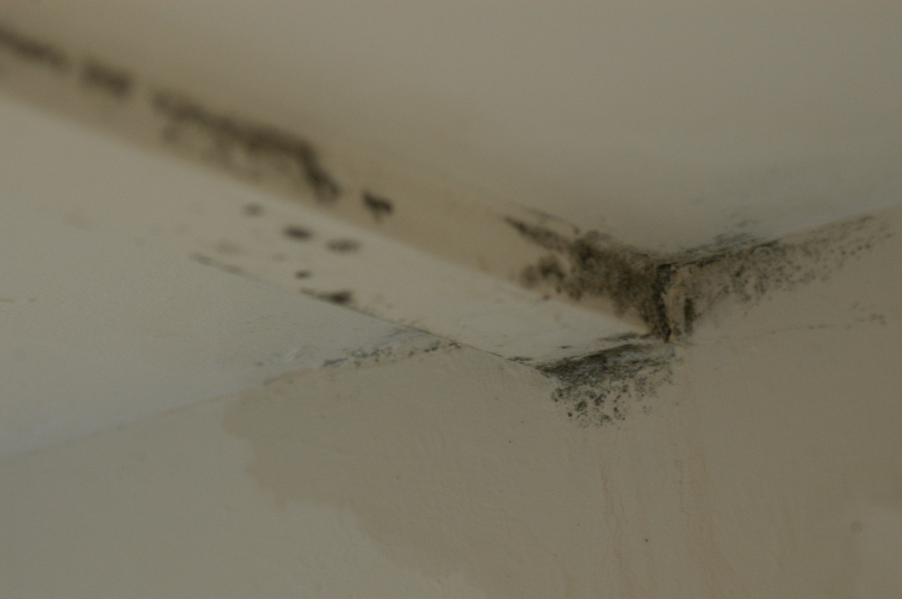 Mould on interior walls