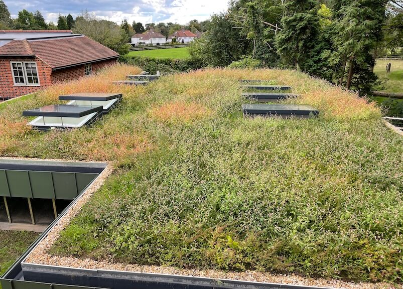 green roof on flat roof extension