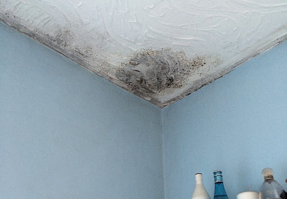 Mould in the bathroom in corner of room