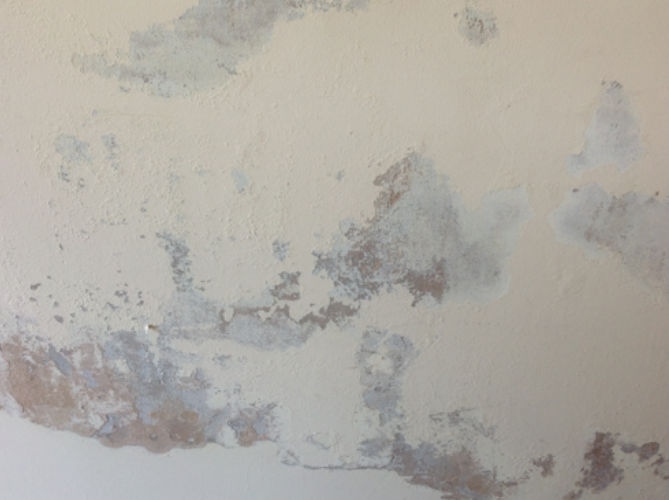 Penetrating Damp on wall