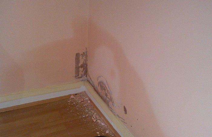 How to solve dampness in a wall