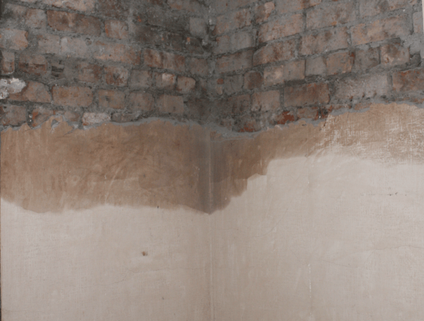 Sever penetrating damp