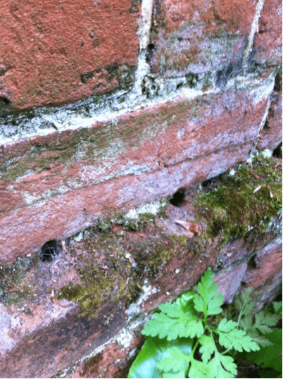 dpc cream boreholes on plinth close up