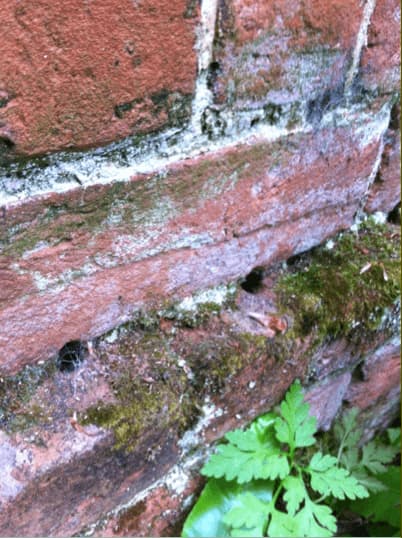 DPC cream boreholes on plinth close up