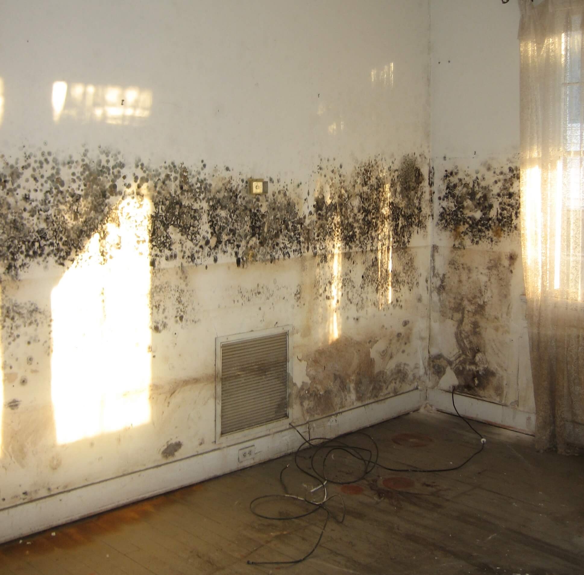 Removing Mould From Walls – How To Clean Mould