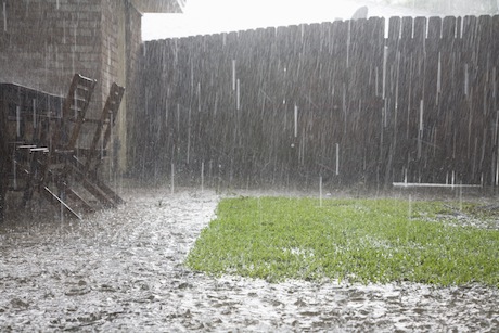 garden fence in bad weather