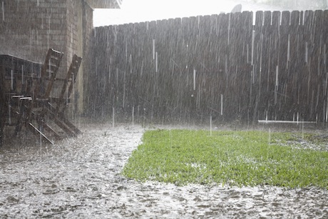 garden fence in bad weather