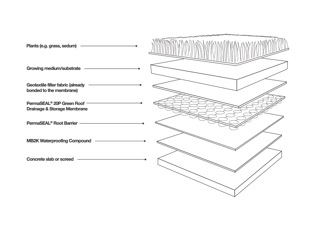 green roof detail diagram