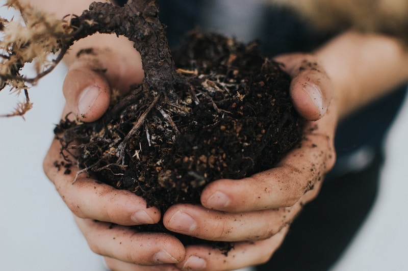 root barriers for green roof plants 