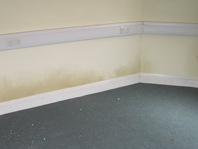 rising damp tidemarks on wall