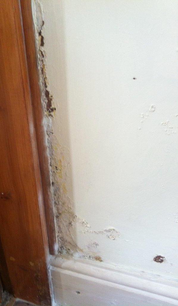 photograph rising damp by door