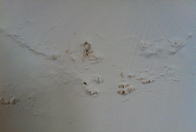 salt deposits from rising damp