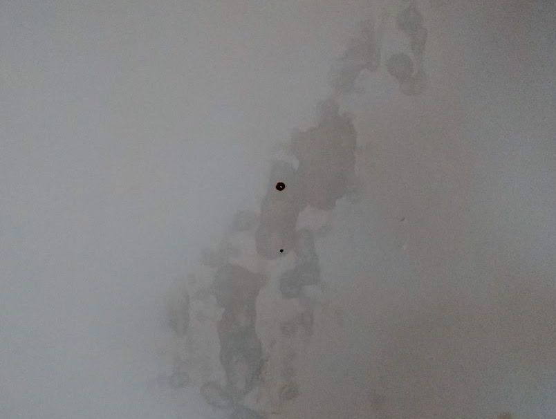 water ingress through wall